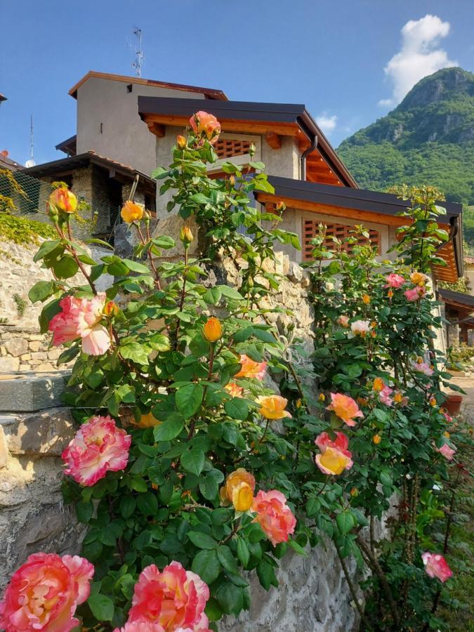 Our Happy Place - Casa Vacanze Per Il Viaggiatore Slow Mandello del Lario Ngoại thất bức ảnh